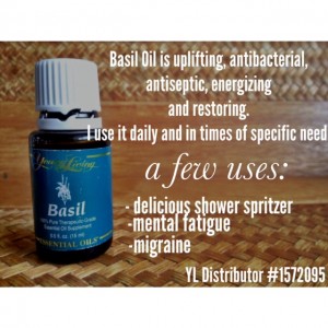 Day 2: Basil Oil