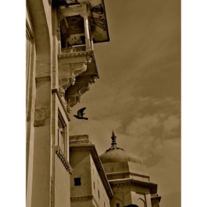 Amer Palace, Jaipur Rajasthan, India. March 2011. Photo: MBuffett